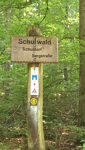 Schulwald2